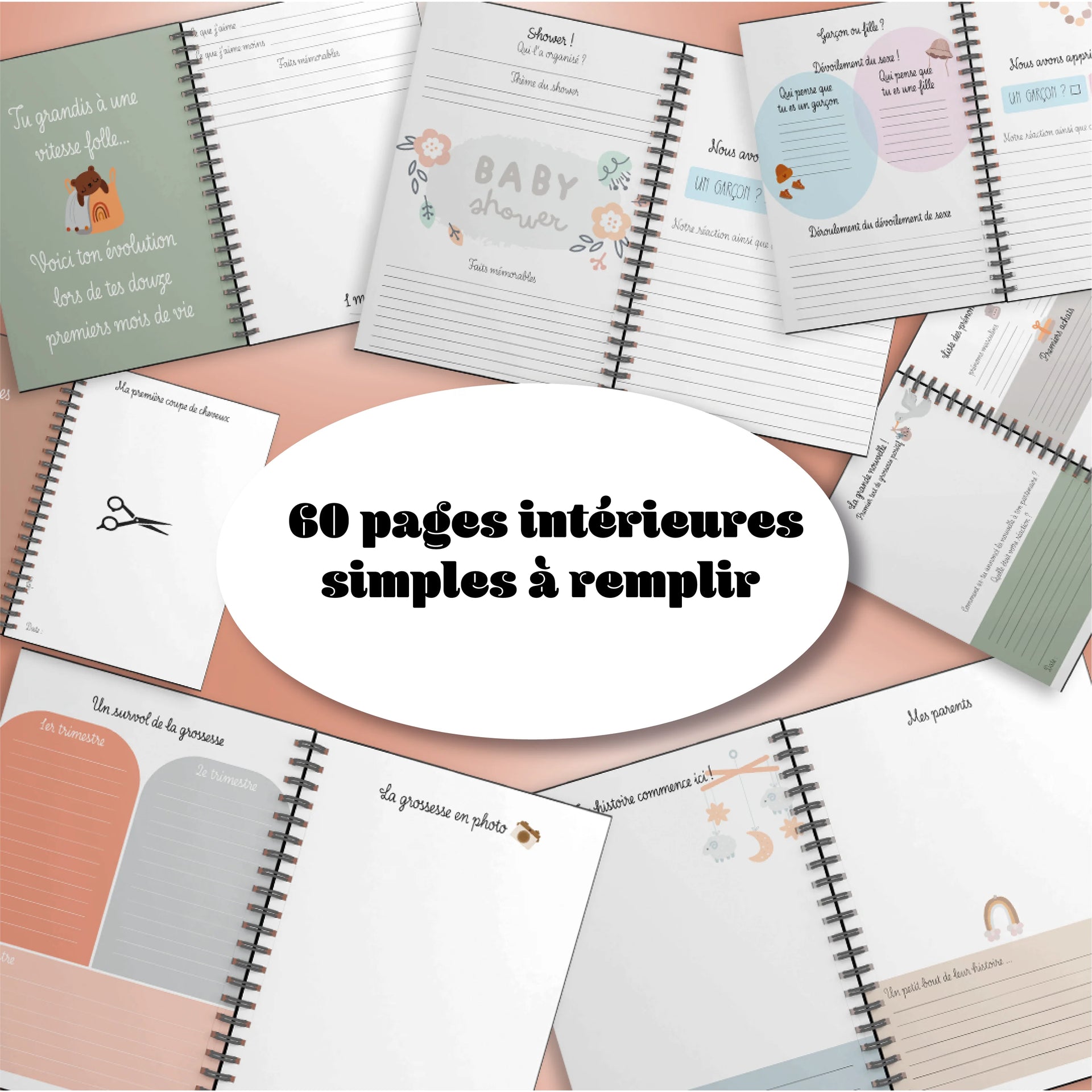 French Baby Memory Book – Geese