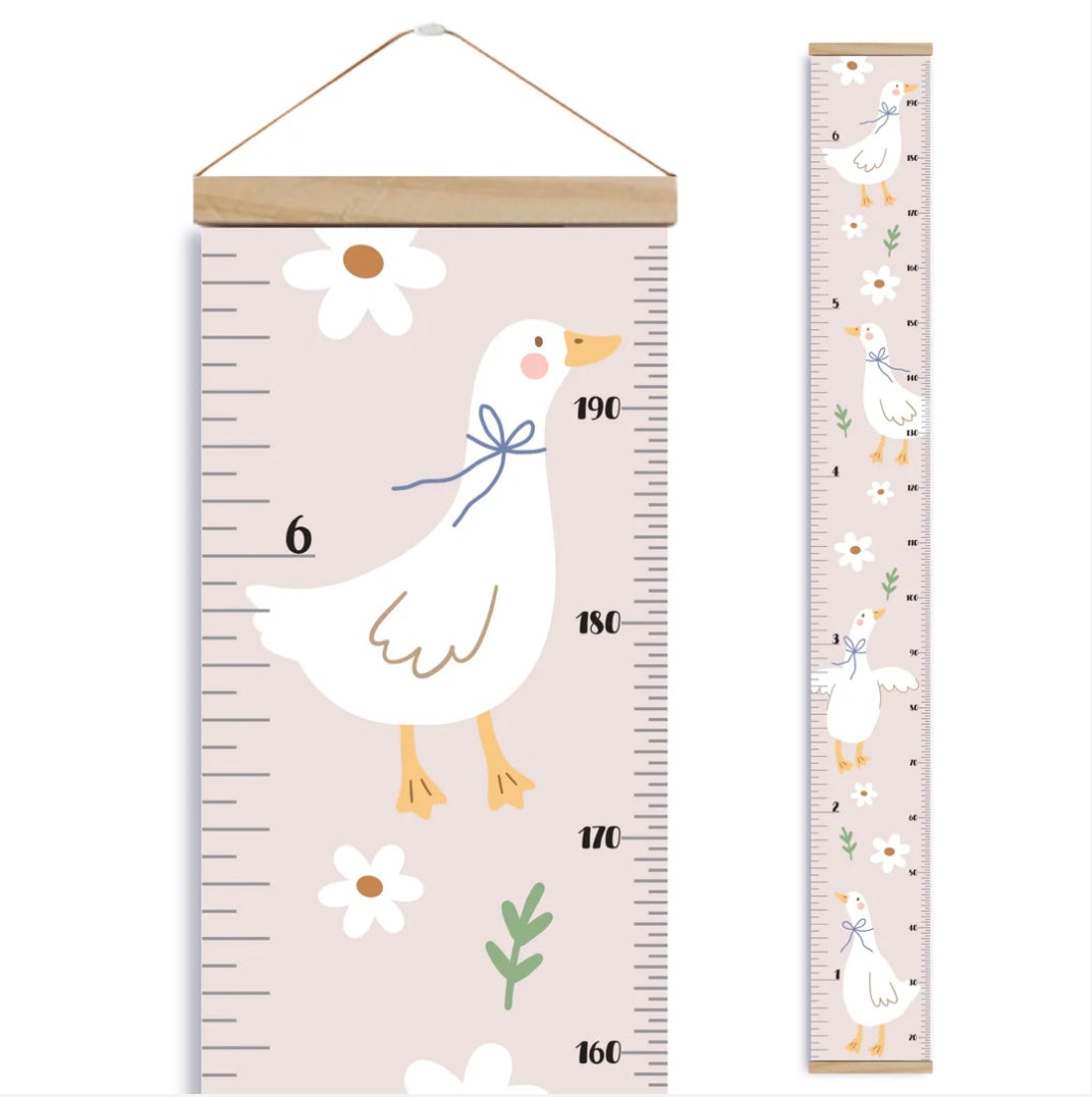 Échelle de croissance - Oies