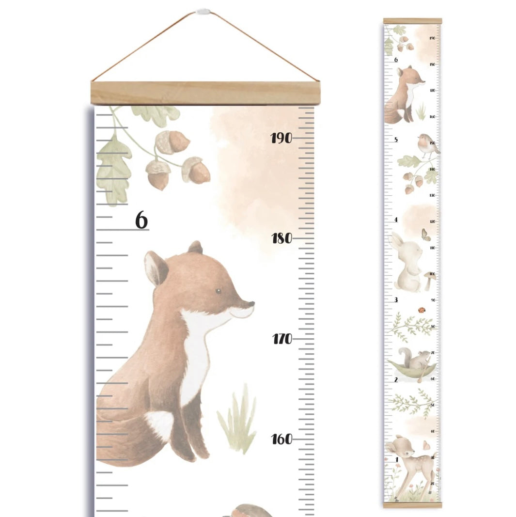 Échelle de croissance - Animaux de la forêt