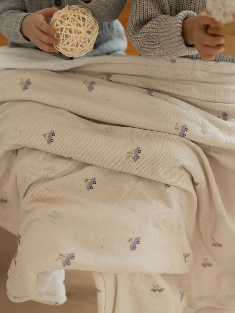 Couvertures chaudes - Voitures mauves